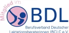 BDL Logo